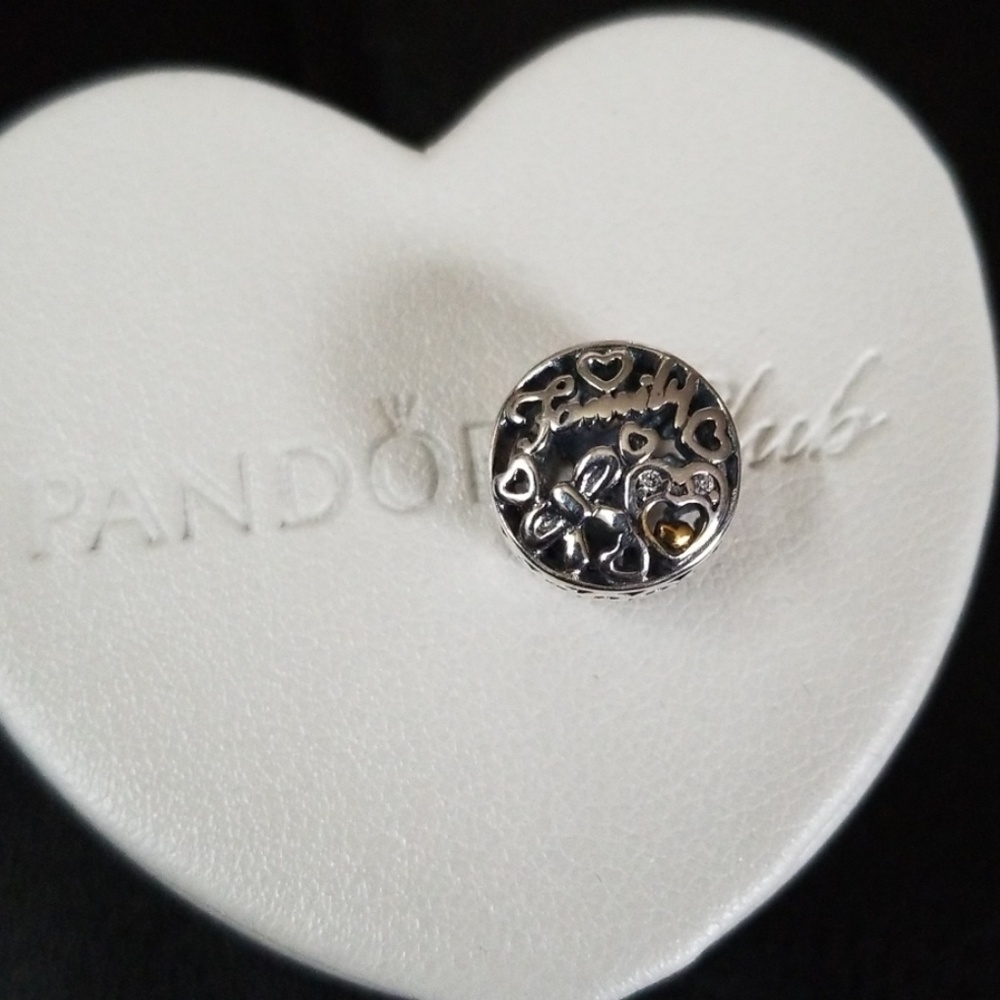 Pandora Silver Charm